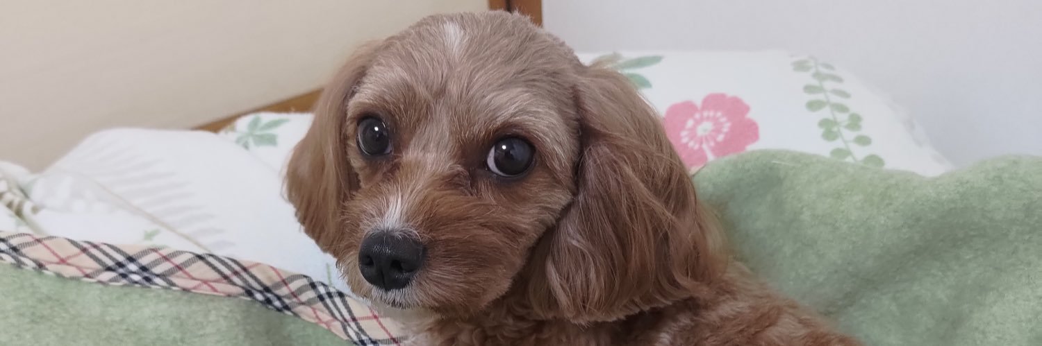 つな🚑️🥐📜🎹✨ banner