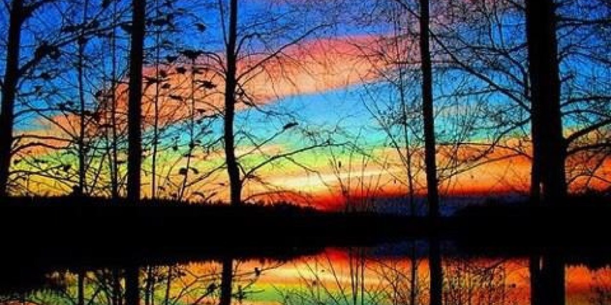 terabear0221's profile banner image