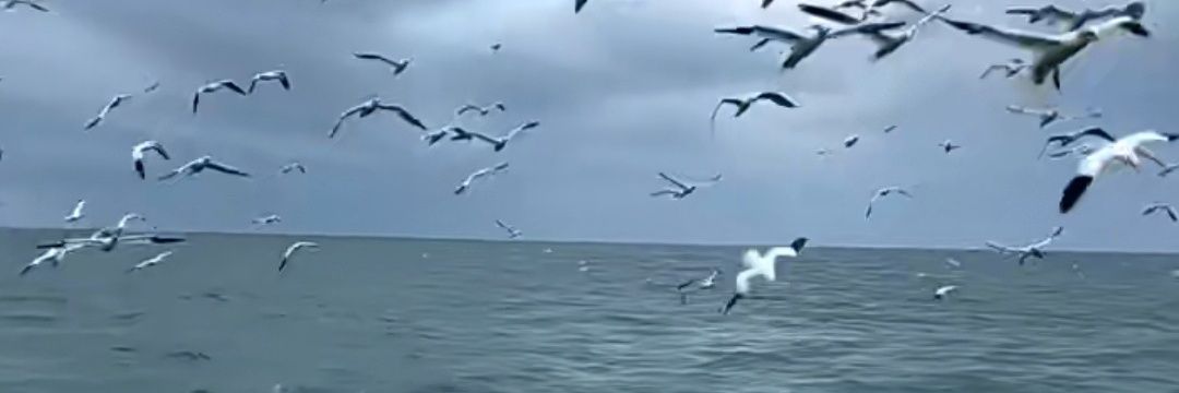 atheeer250's profile banner image