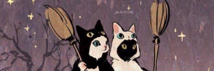 maeddow's profile banner image