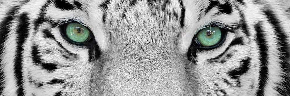 TheXlem's profile banner image