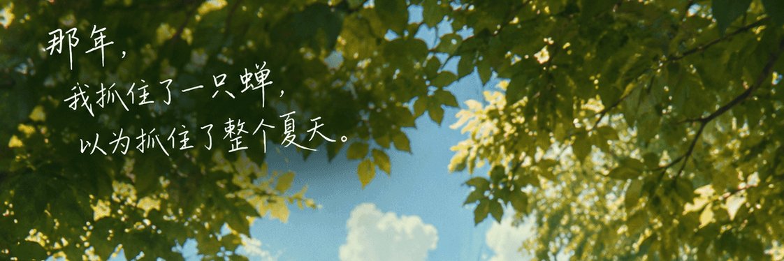 hack4cn's profile banner image