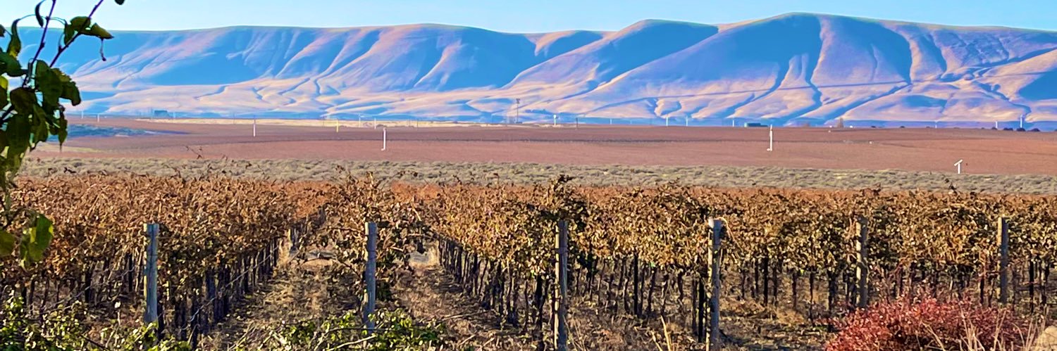 Michelle Williams banner