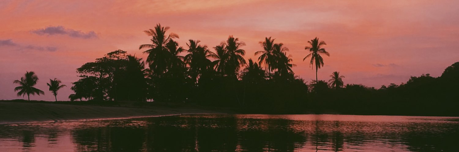 VictoriaTinoco's profile banner image