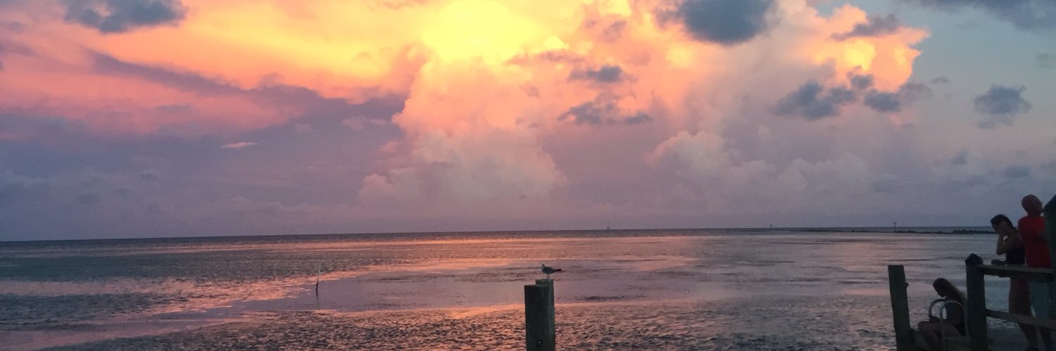 drottningMcs's profile banner image