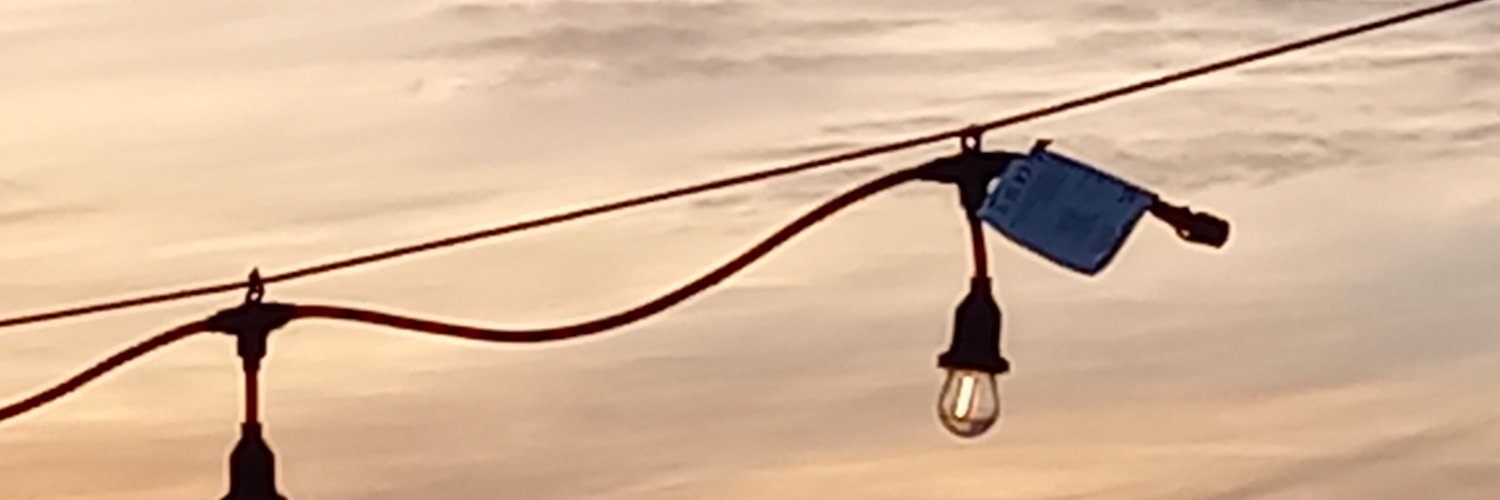 LindaKings's profile banner image