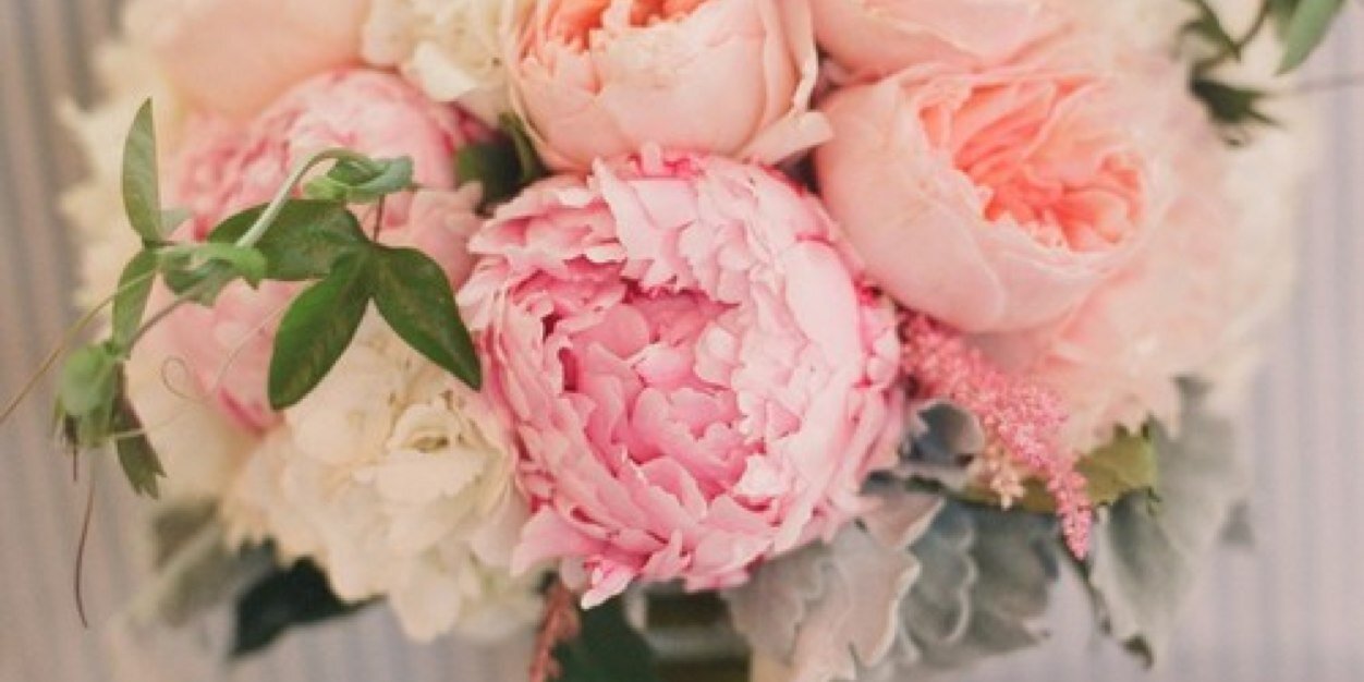 Rosemn87's profile banner image