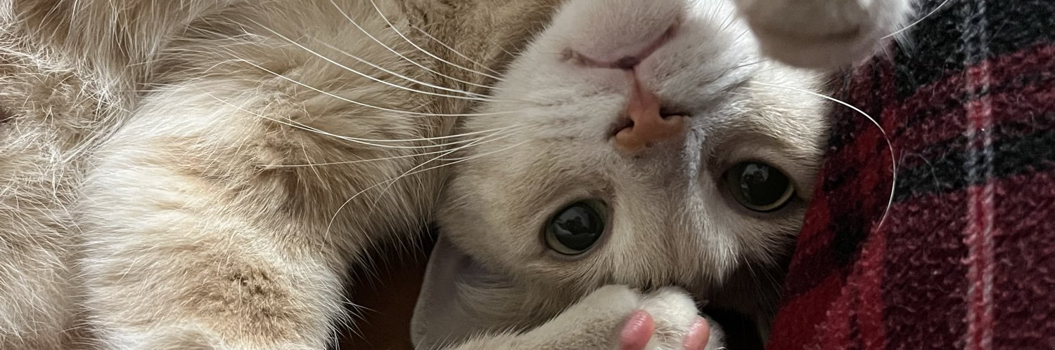 mrs_klss's profile banner image
