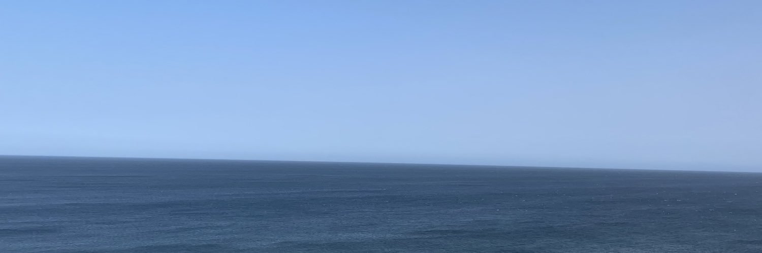 Lu banner