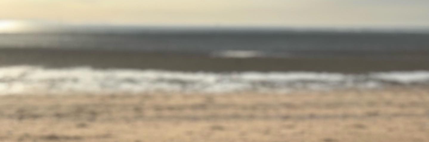Mepopo6969's profile banner image