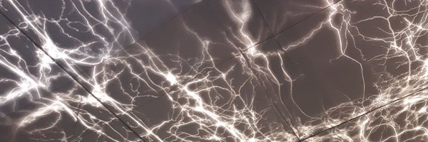 SalinAdelie Profile Banner