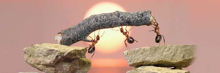 CryptoFlow (CFL) banner