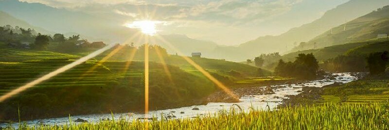 Brenda Morning banner