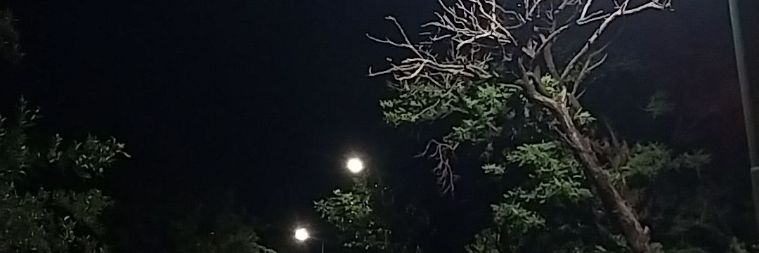 Faacum_'s profile banner image