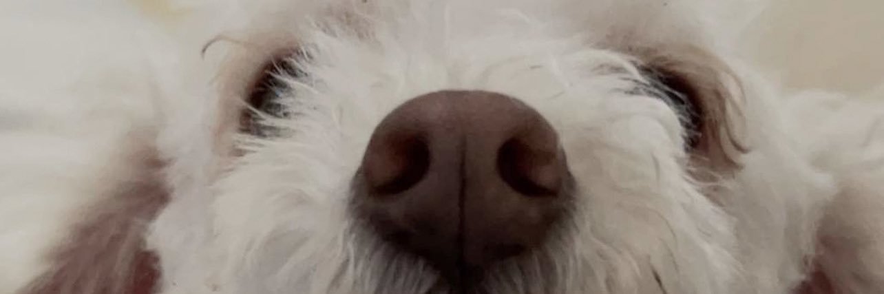this1dudemanny's profile banner image