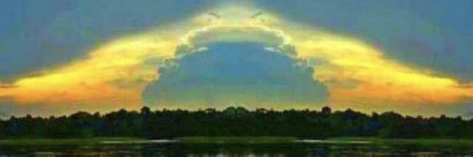 Reina Guimarães banner