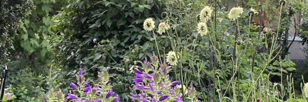 EmmaThompsonWeb Profile Banner