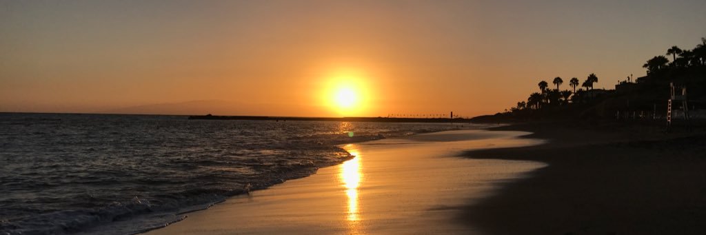 norelisd's profile banner image