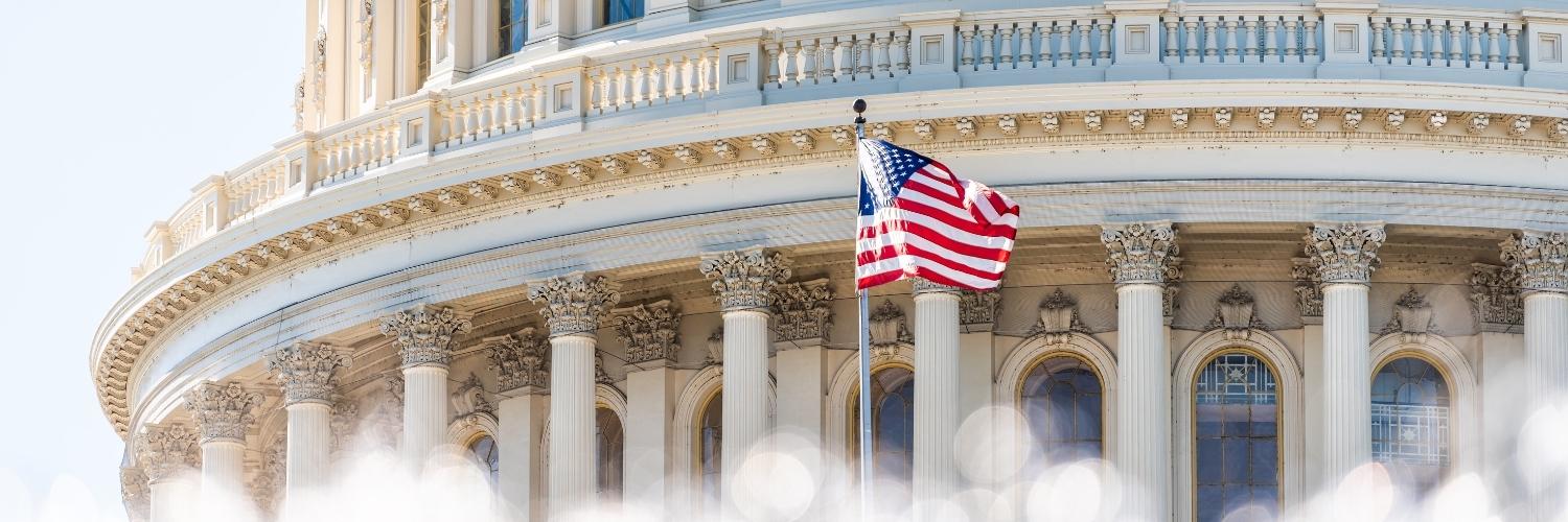 Democracy Corps banner