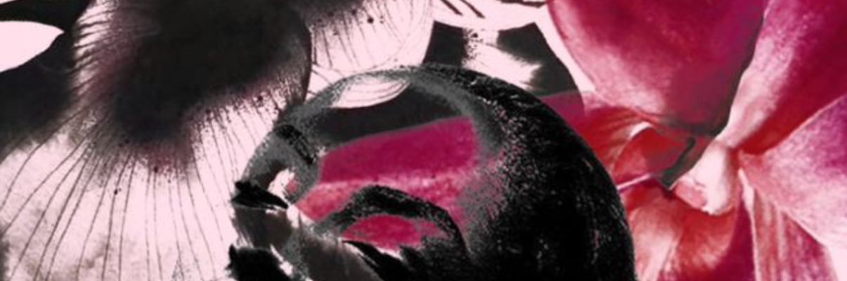 Alyse 🧞‍♀️ banner