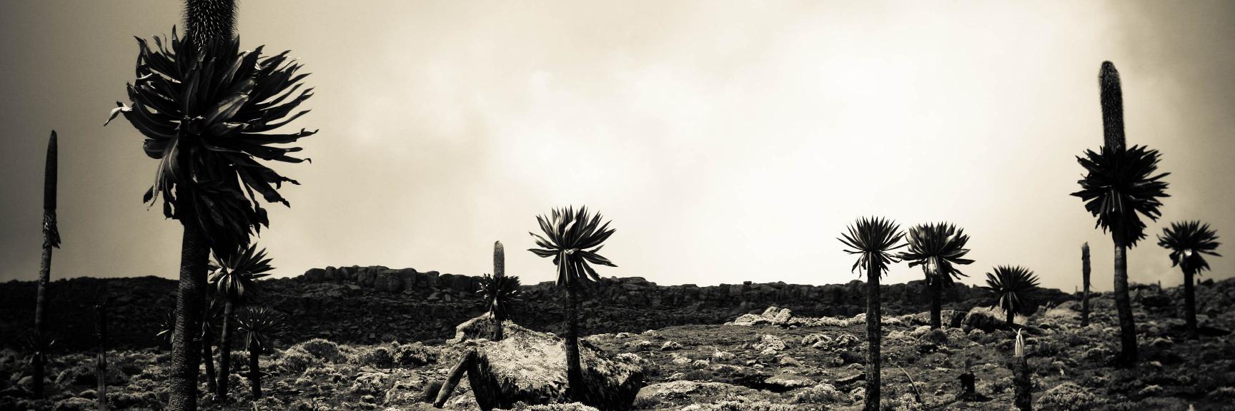 StephaneBoissi1's profile banner image