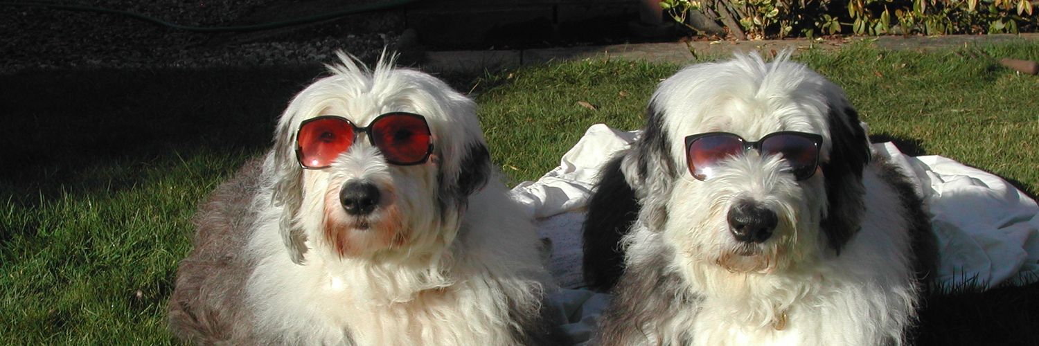 Markool8 We are being lied to banner