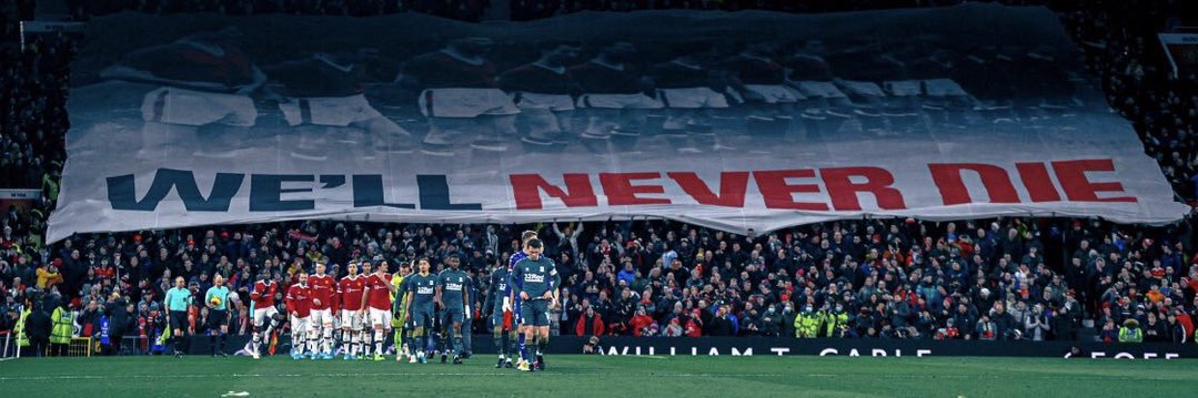 Dóuglas Fir🗽's banner