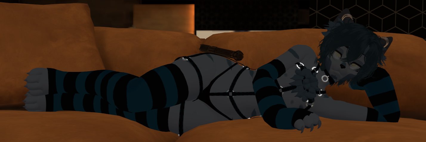 Nikki the Zyggy banner