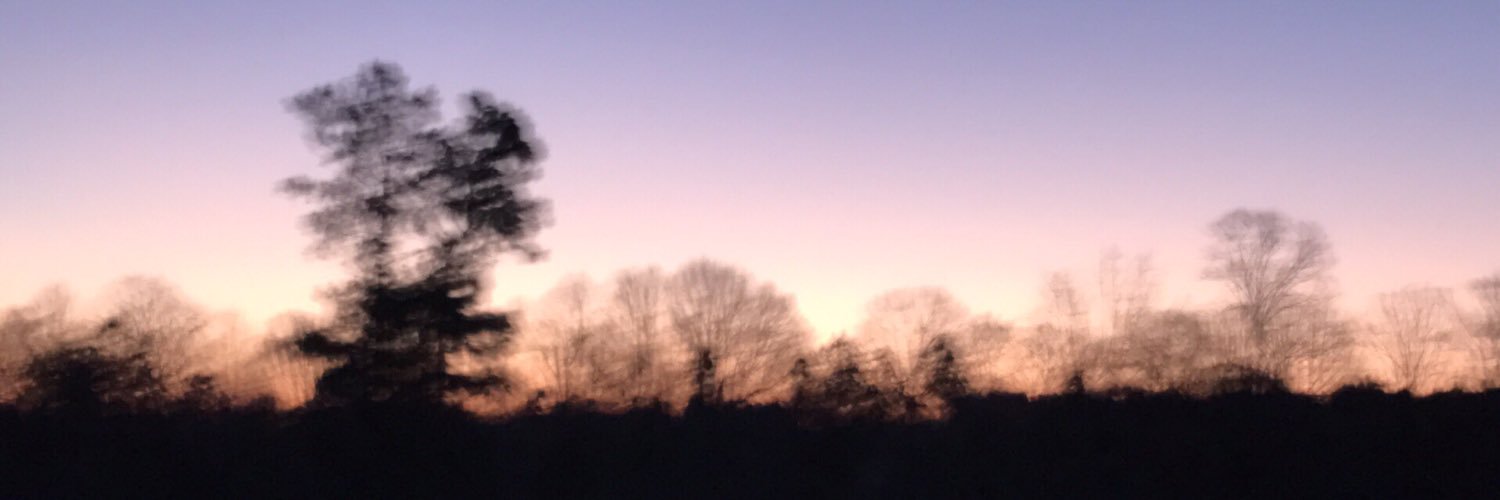 AlexandriacAlex's profile banner image