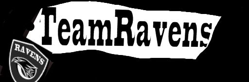 Team Ravens banner