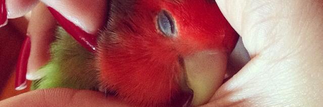 LeidyContrerasc's profile banner image