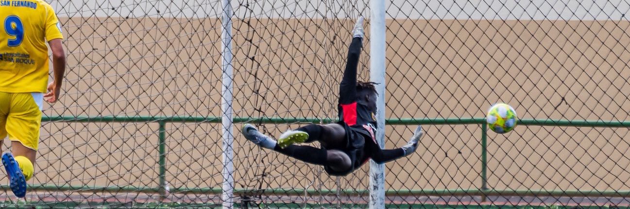 leo mendes banner