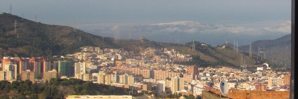 Rogerbuch Profile Banner