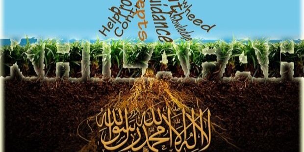 ajmalhamid's profile banner image