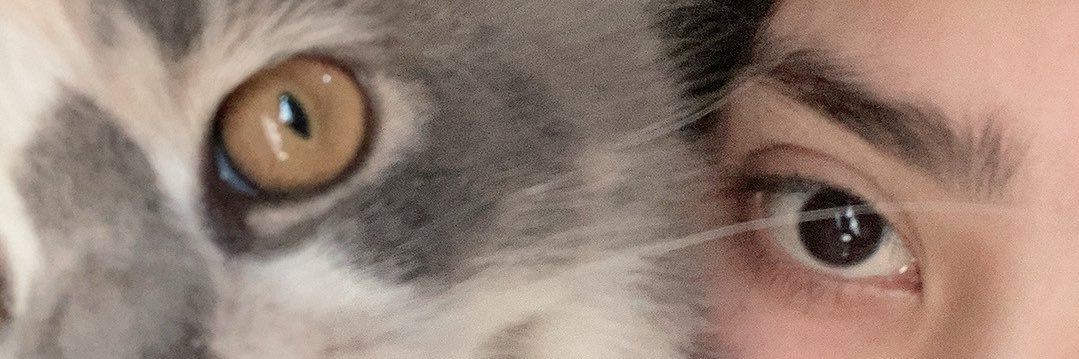 ⋆𐙚 ̊♡ banner