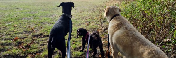 Niamhambaker Profile Banner