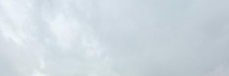 Mechitascasmonth banner