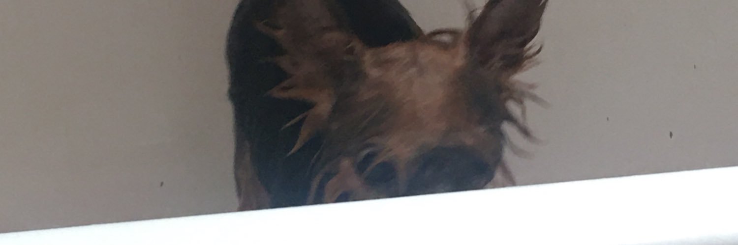 JACKSD0LAN's profile banner image