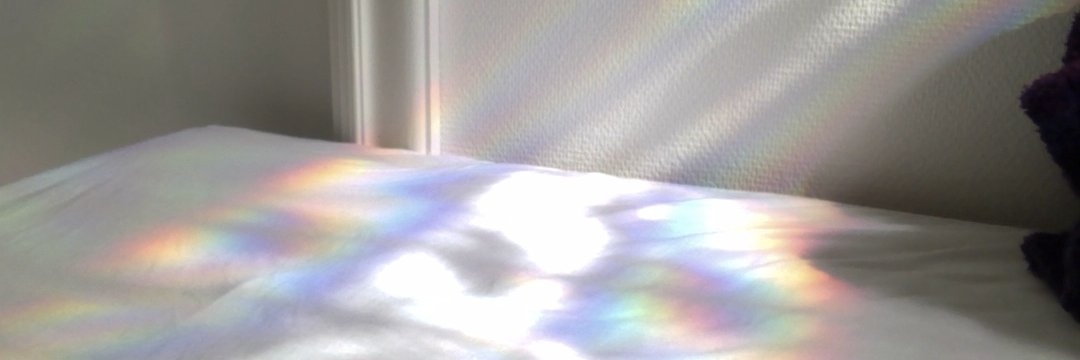 escomonada's profile banner image