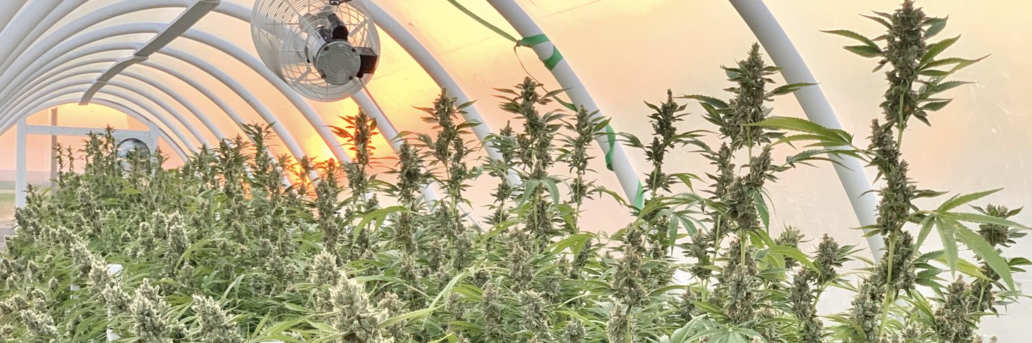 GreenerSide banner
