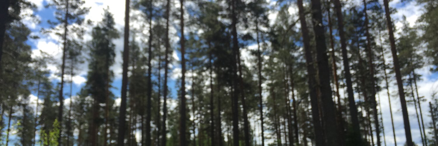 froeol's profile banner image