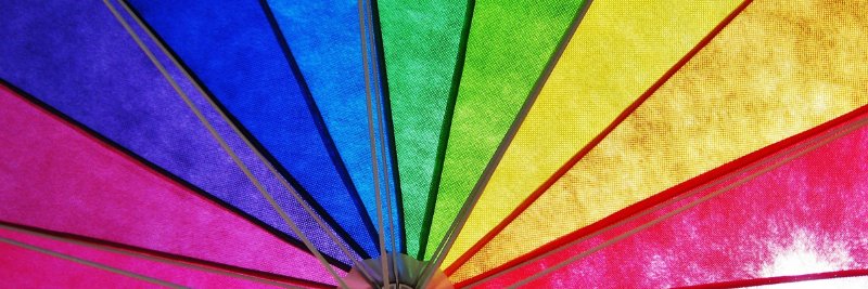 genderdiaries's profile banner image