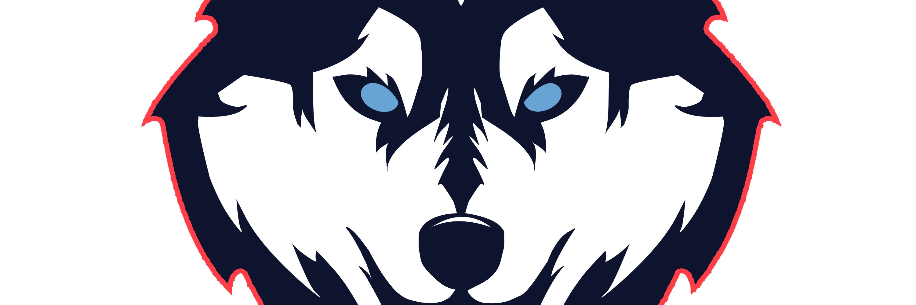 MHD ELITE BASKETBALL banner