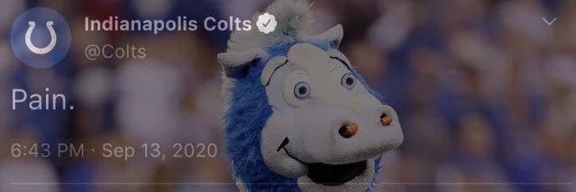 Coach Jeff Monday banner