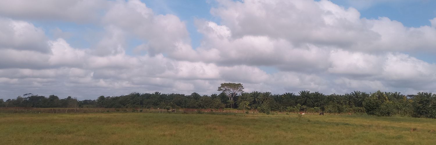 judithmaciasa's profile banner image