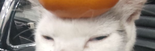 lollphi Profile Banner