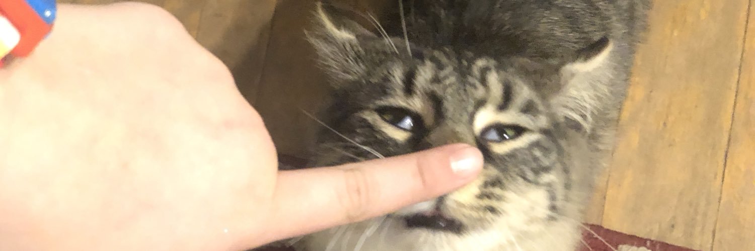 itsmrstanley's profile banner image