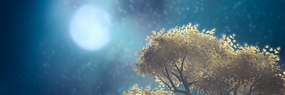 zrfasdfgh's profile banner image