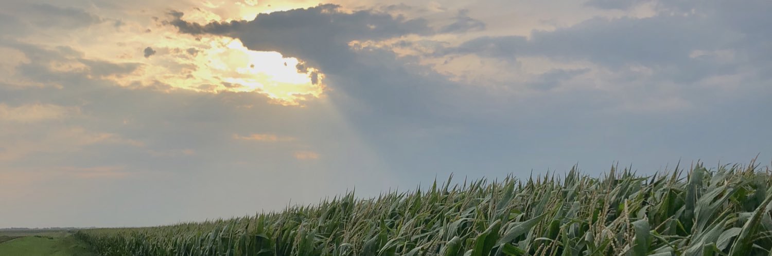 HayleySpitzer's profile banner image