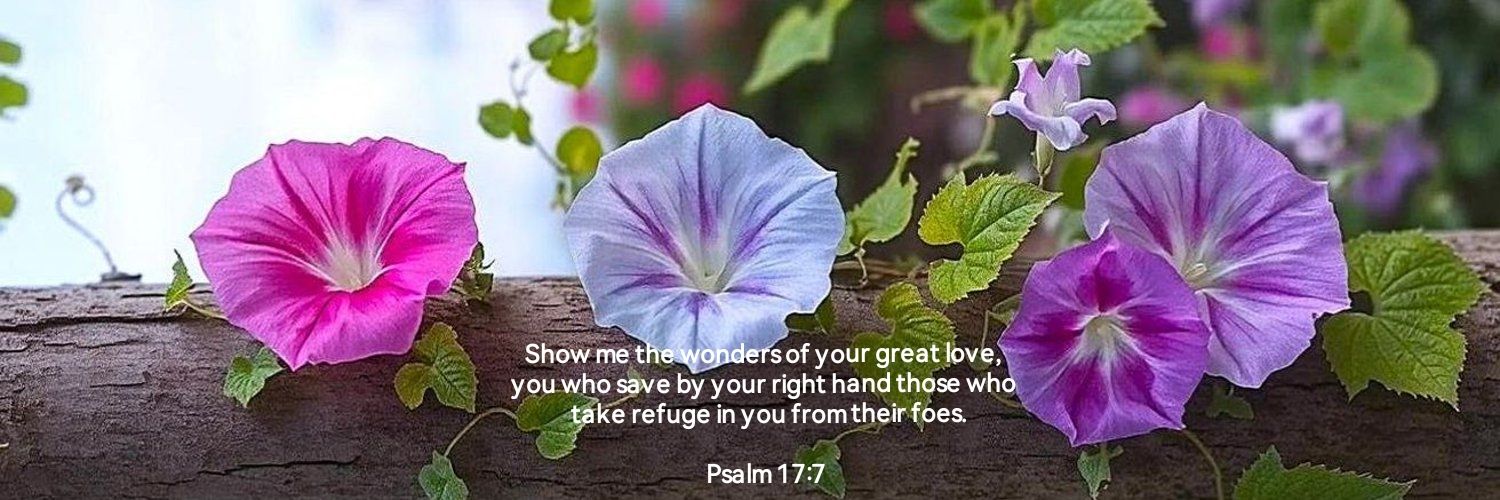 💐💕🅿️🆁ℹ️🅽©🅴🆂🆂👑🛐💎🛡⚔ 🆆🅰️🆁🆁ℹ️🅾️🆁🕊📖 banner